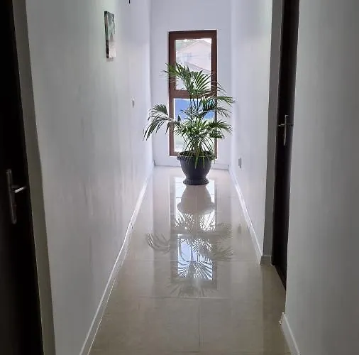 Guest house Casa Amy 3*