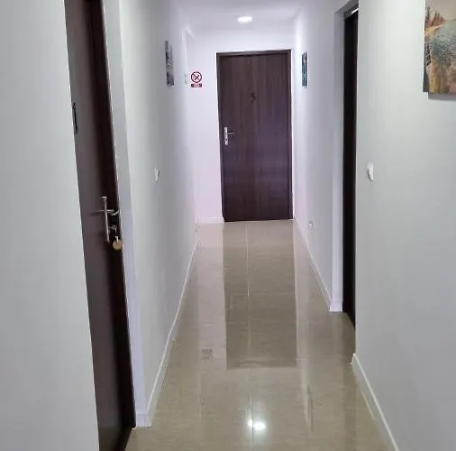 Guest house Casa Amy 3*